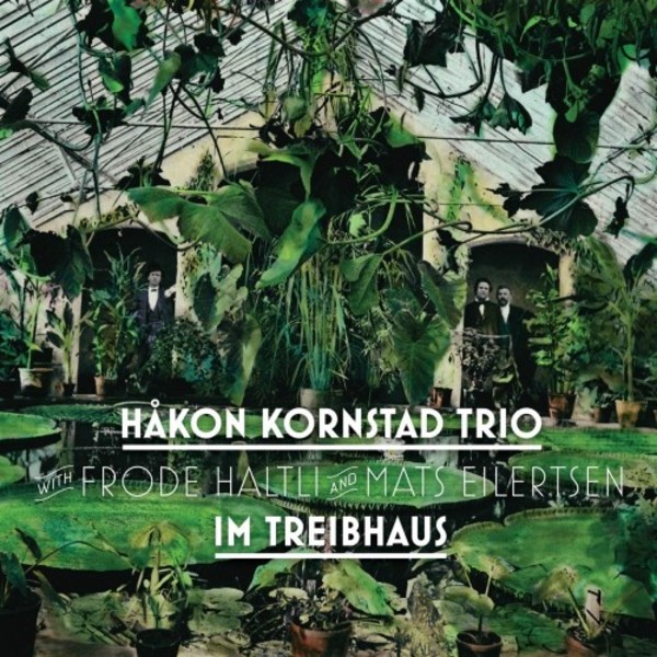 Hakon Kornstad Trio: Im Treibhaus | Grappa GRCD4603