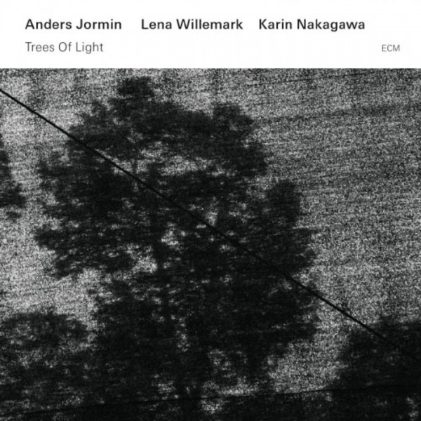 Trees of Light