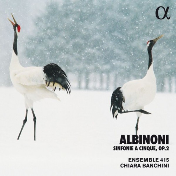 Albinoni - Sinfonie a 5, op.2 | Alpha ALPHA486