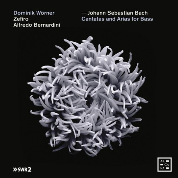 JS Bach - Cantatas and Arias for Bass | Arcana A466