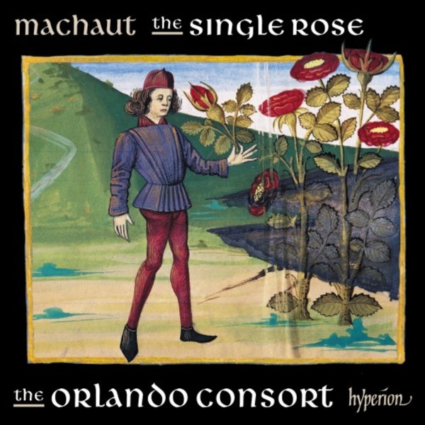 Machaut - The Single Rose | Hyperion CDA68277