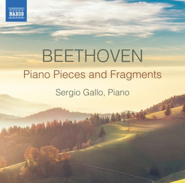 Beethoven - Piano Pieces and Fragments | Naxos 8574131