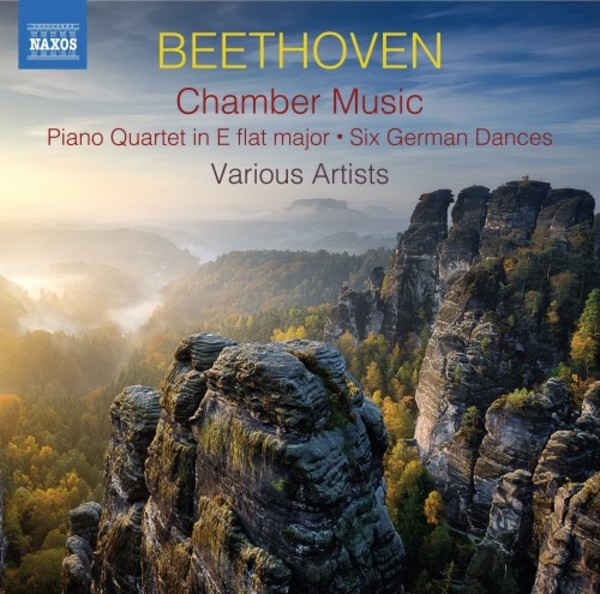 Beethoven - Chamber Music | Naxos 857404041