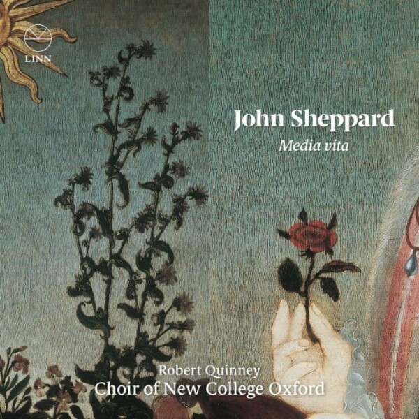 J Sheppard - Media vita