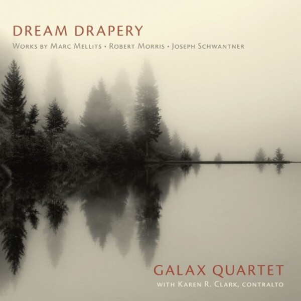 Dream Drapery: Mellits, Schwantner, Morris | Music and Arts MACD1297