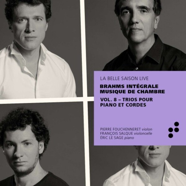 Brahms - Complete Chamber Music Vol.8: Piano Trios