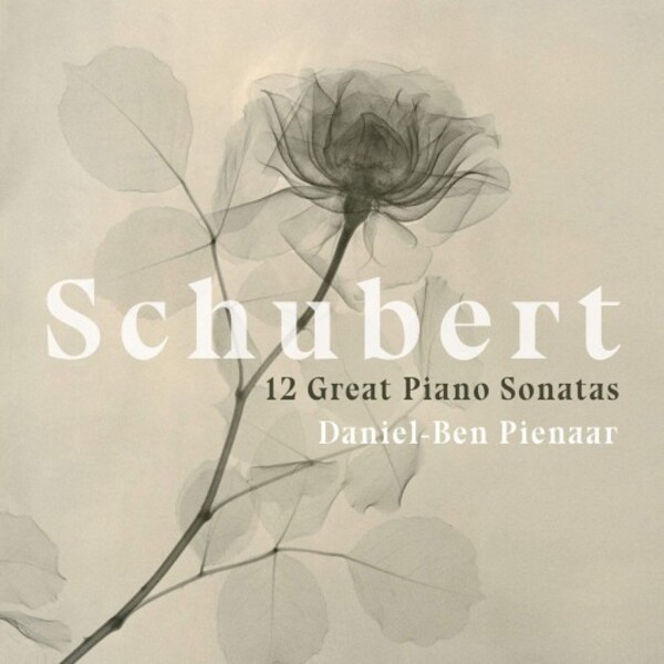 Schubert - 12 Great Piano Sonatas | Avie AV2425