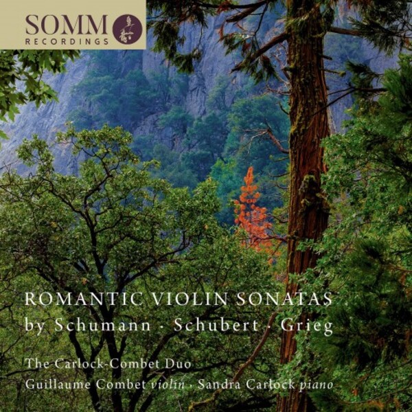 Romantic Violin Sonatas by Schubert, Schumann & Grieg | Somm SOMMCD0628