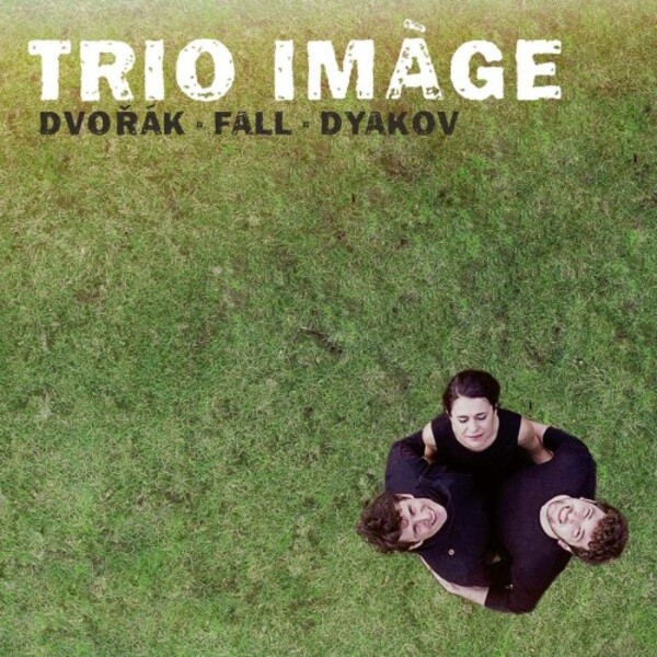 Dvorak, S Fall & Dyakov - Piano Trios | C-AVI AVI8553482