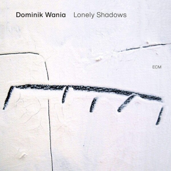 Dominik Wania - Lonely Shadows (Vinyl LP) | ECM 0889560