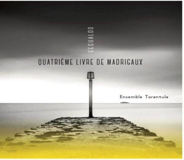 Gesualdo - Fourth Book of Madrigals | SOOND SND21014