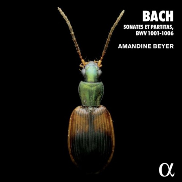 JS Bach - Sonatas & Partitas, BWV1001-1006 | Alpha ALPHA610
