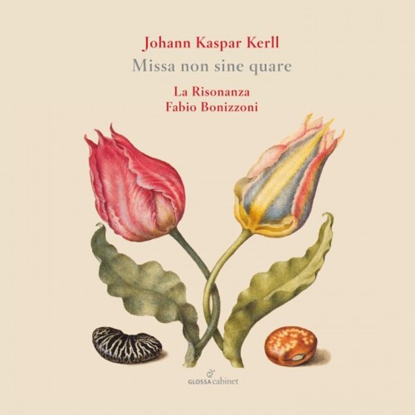 Kerll - Missa non sine quare