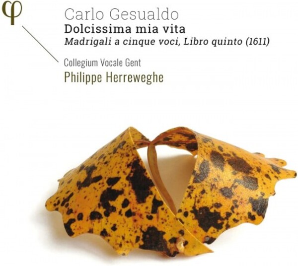 Gesualdo - Dolcissima mia vita: Fifth Book of Madrigals | Phi LPH036