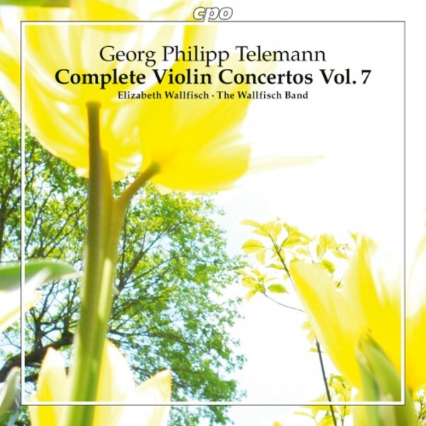 Telemann - Complete Violin Concertos Vol.7 | CPO 7778812