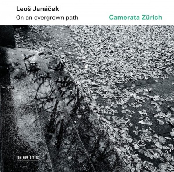 Janacek - On an Overgrown Path (arr. for strings)