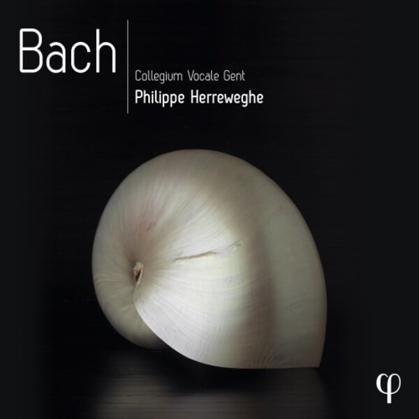 JS Bach - Mass in B Minor, St John Passion, Cantatas, Motets