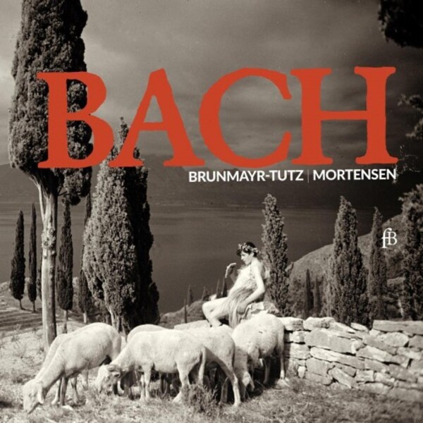 JS Bach - Flute Sonatas & Partita, Brandenburg Concerto no.6
