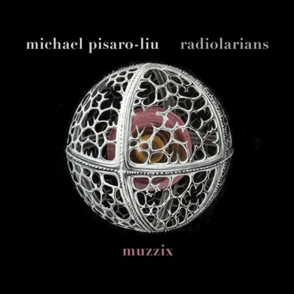 Pisaro-Liu - Radiolarians | New World Records NW80836