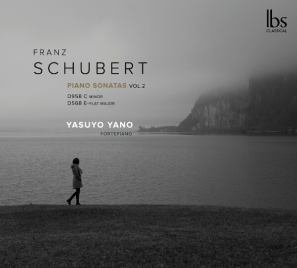 Schubert - Piano Sonatas Vol.2 | IBS Classical IBS42022