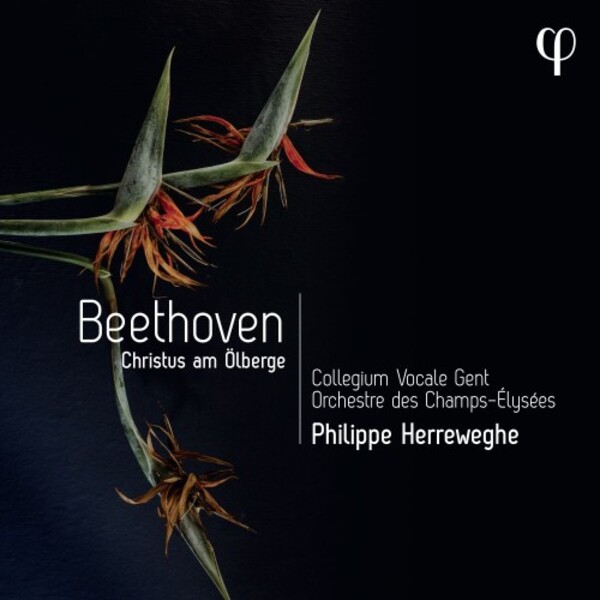 Beethoven - Christ on the Mount of Olives