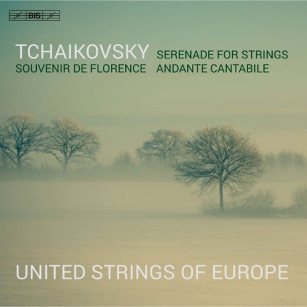 Tchaikovsky - Serenade for Strings, Souvenir de Florence, Andante cantabile | BIS BIS2569