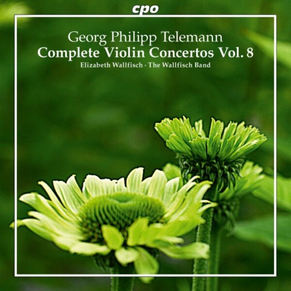 Telemann - Complete Violin Concertos Vol.8 | CPO 7778822