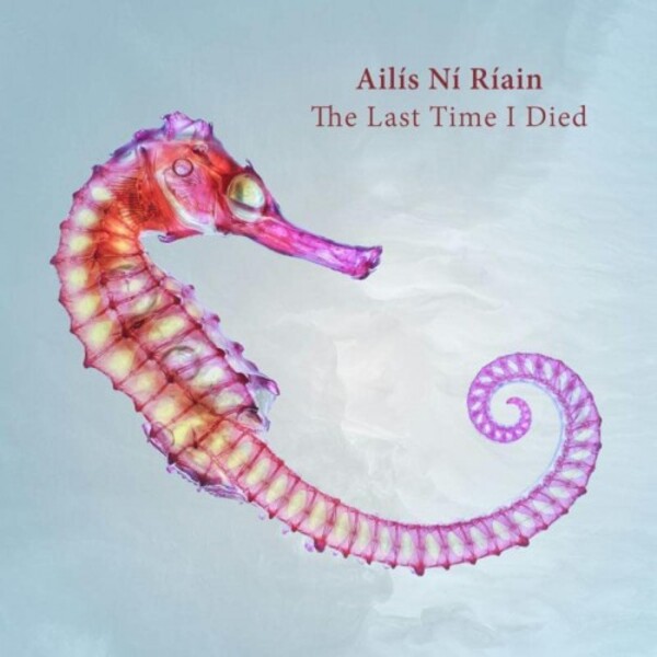 Riain - The Last Time I Died