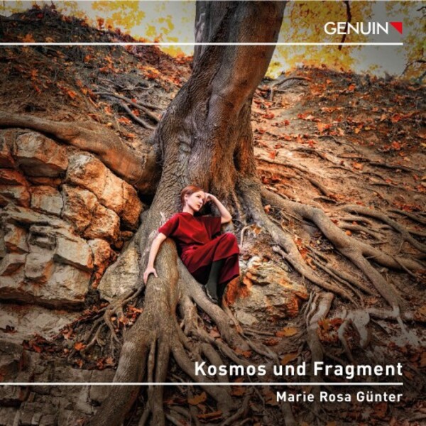 Kosmos und Fragment: Piano Works by Beethoven, Webern and Kallmeyer | Genuin GEN23833