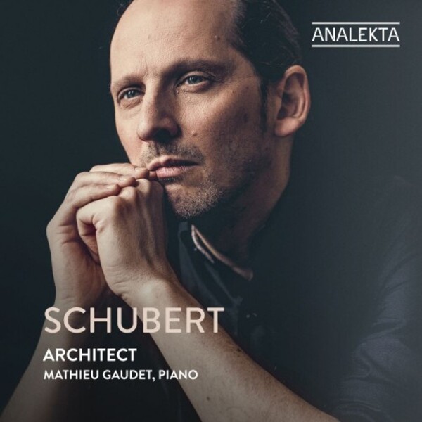 Schubert - Architect: Complete Sonatas and Major Works for Piano Vol.8 | Analekta AN29188