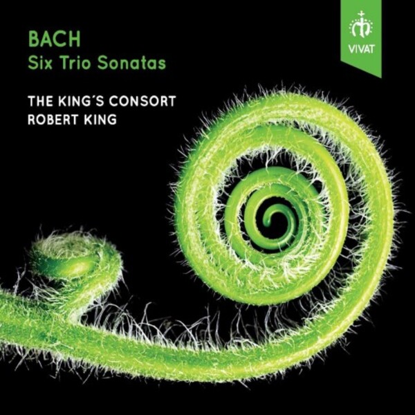 JS Bach - 6 Trio Sonatas (arr. King) | Vivat Vivat123