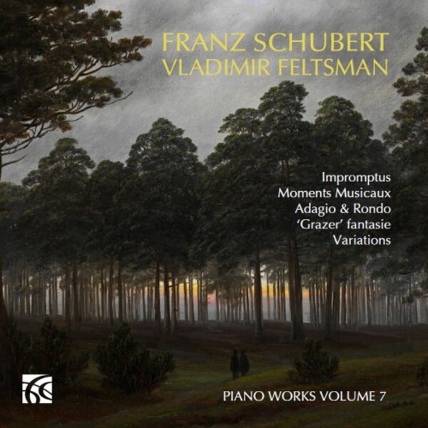 Schubert - Piano Works Vol.7
