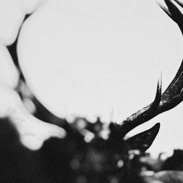 Ihsahn (orchestral version) (Vinyl LP)