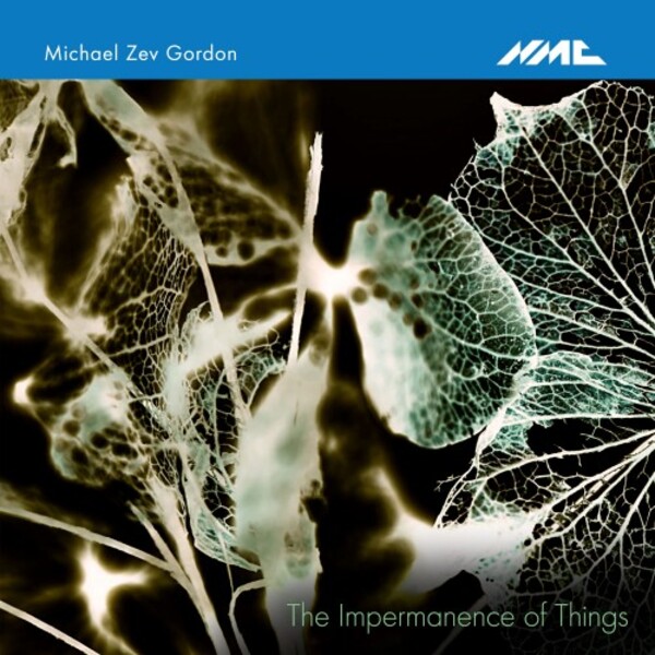 MZ Gordon - The Impermanence of Things