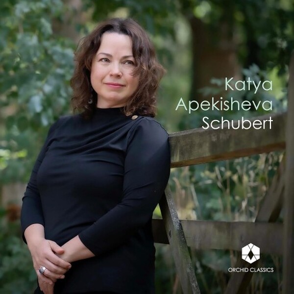 Schubert - Allegretto in C minor, Moments musicaux, 3 Klavierstucke