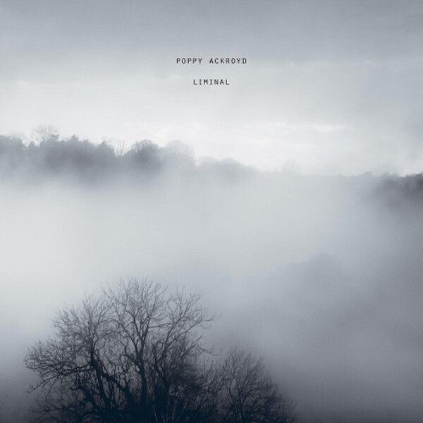 Poppy Ackroyd: Liminal (Vinyl LP)