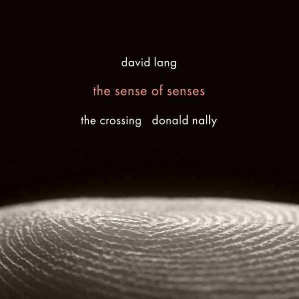 D Lang: The Sense of Senses