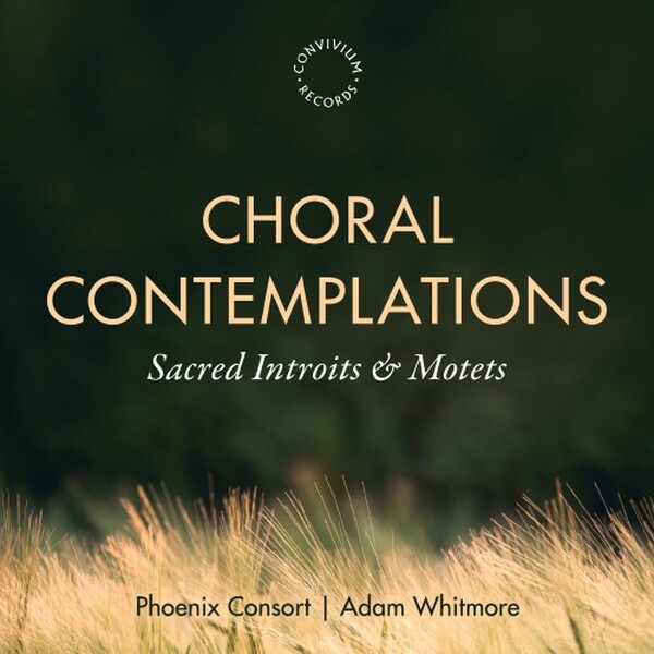Choral Contemplations: Sacred Introits & Motets