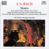 Bach - Motets | Naxos 8553823