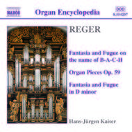 Reger - Organ Works vol. 3 | Naxos 8554207