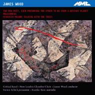 James Wood - Two Men Meet